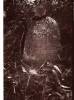 Tombstone dated 5680